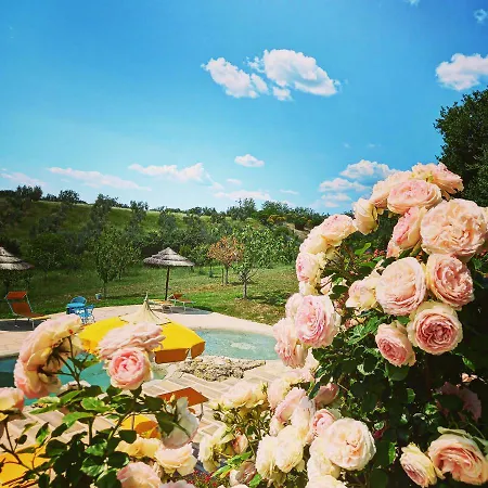 Farm stay Angolo Di Paradiso Formello