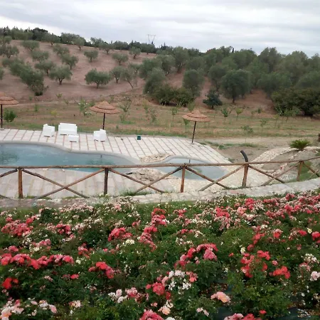 Angolo Di Paradiso * Formello