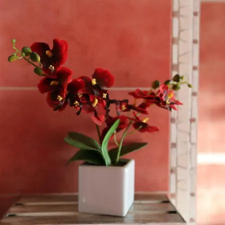 Angolo Di Paradiso Farm stay
