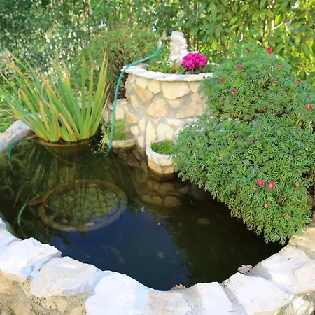 Angolo Di Paradiso Farm stay *