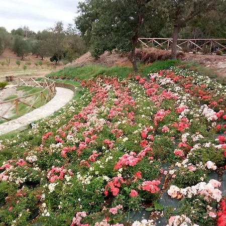 Angolo Di Paradiso Lantgård *