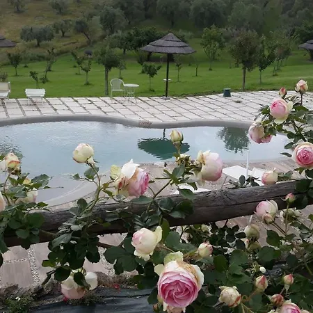Alloggio per agriturismo Angolo Di Paradiso Formello
