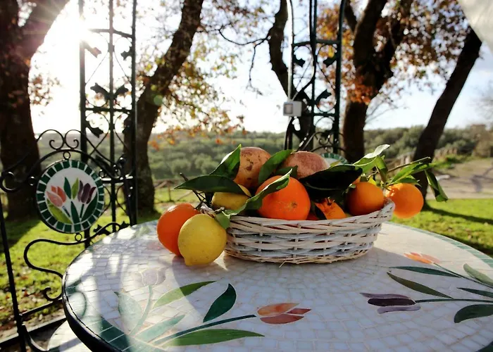 Angolo Di Paradiso Formello