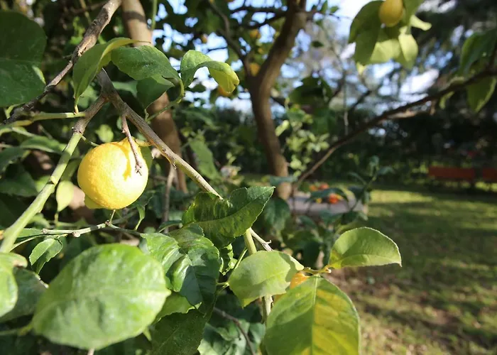Angolo Di Paradiso